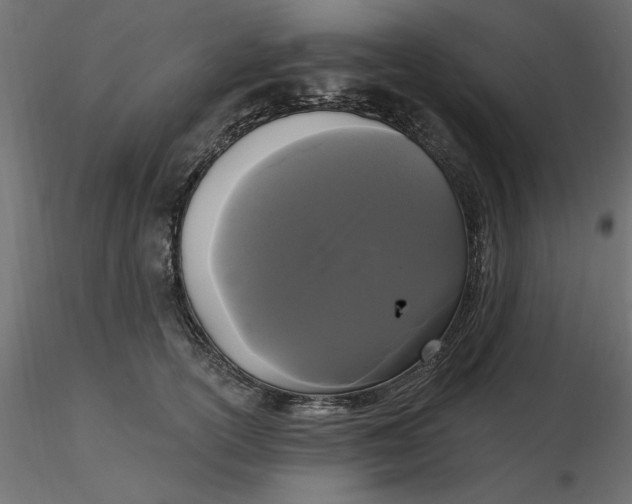 X0000116570754200912311953