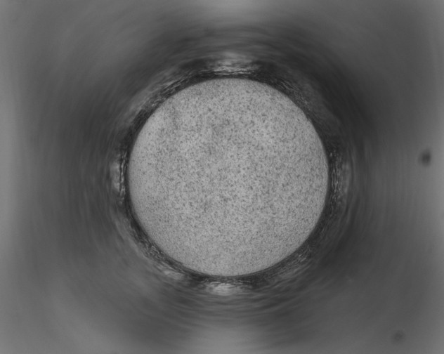 X0000116570755200912311953