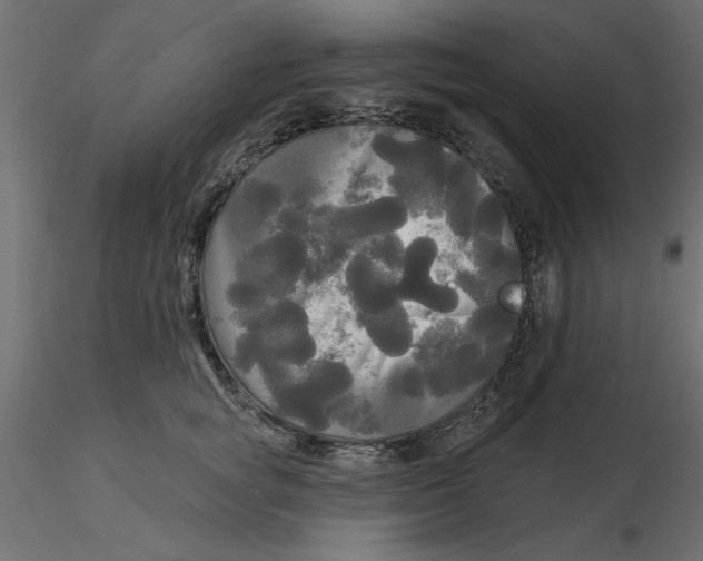 X0000116570757200912311953