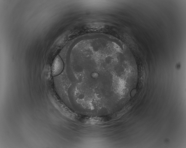 X0000116570758200912311953