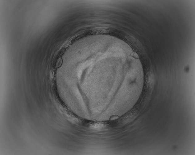 X0000116570759200912311953