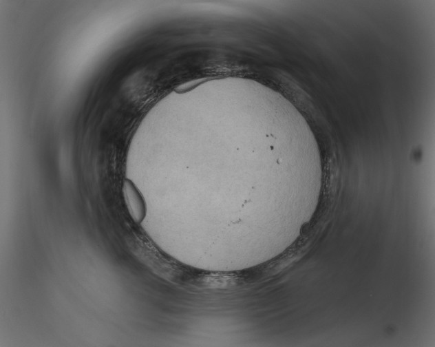 X0000116570762200912311953