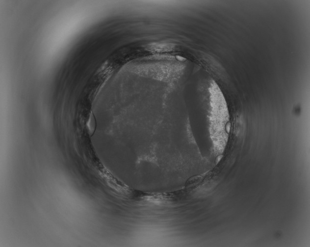 X0000116570763200912311953