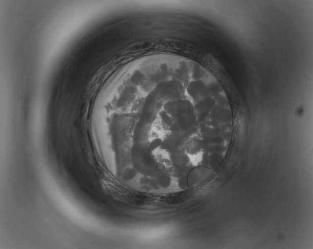 X0000116570765200912311953