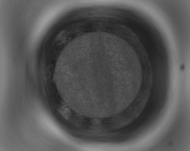 X0000116570766200912311953