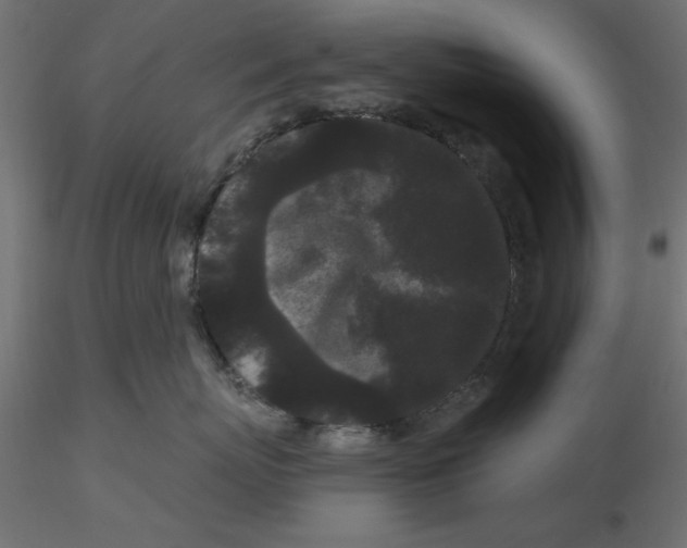 X0000116570767200912311953