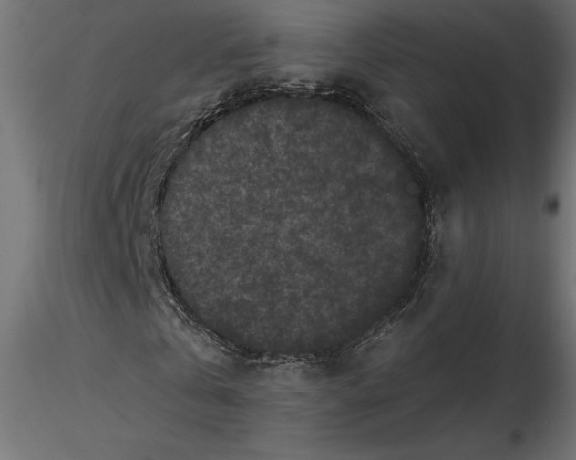 X0000116570769200912311953