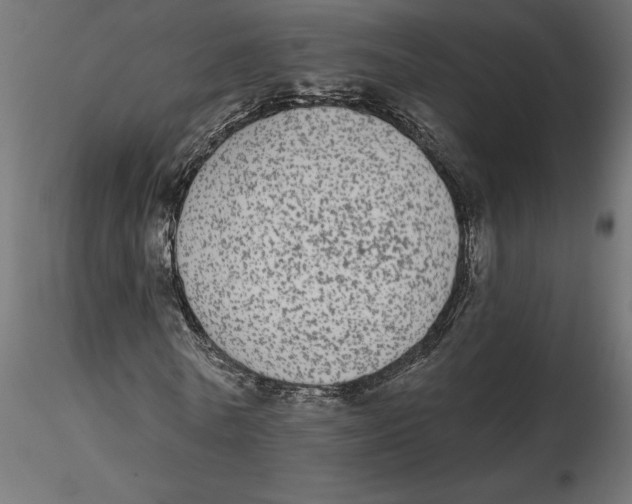 X0000116570770200912311953