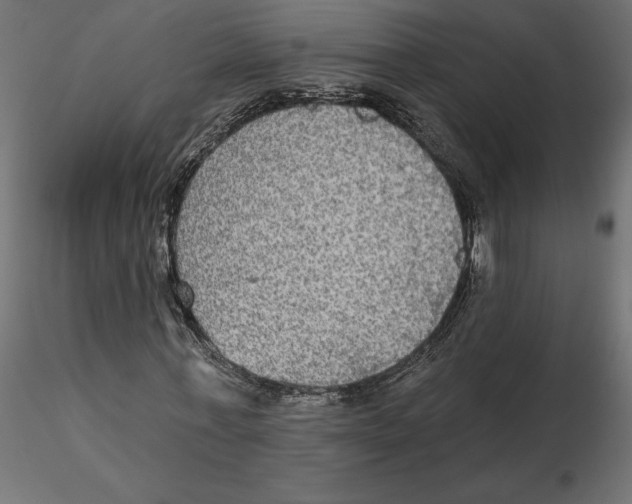 X0000116570771200912311953