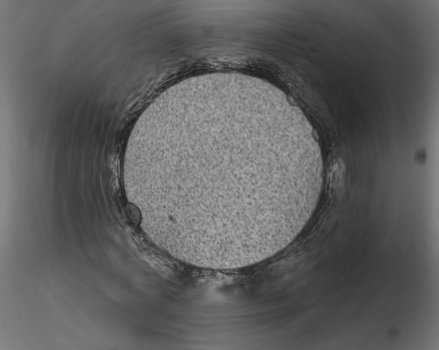 X0000116570772200912311953