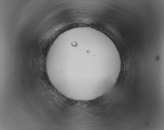 X0000116570773200912311953