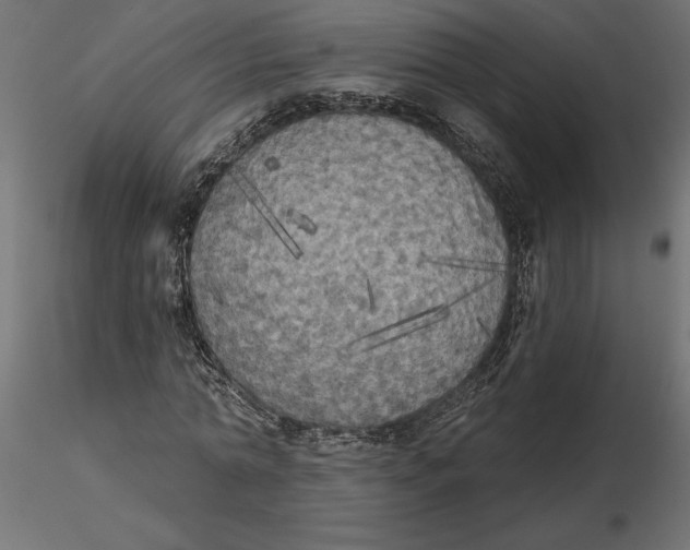 X0000116570774200912311952