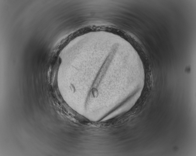 X0000116570775200912311952