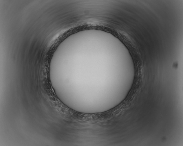 X0000116570776200912311952