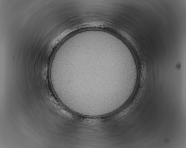 X0000116570778200912311952