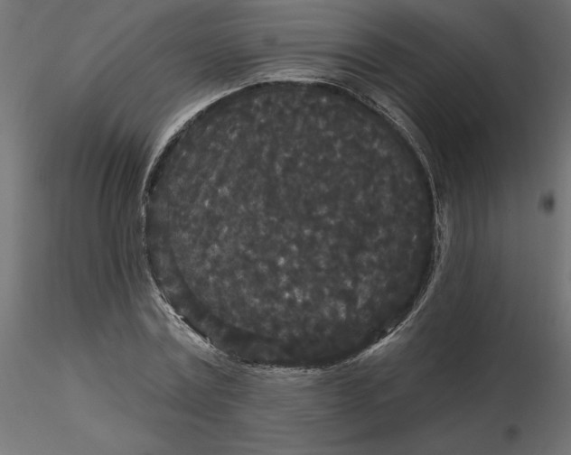 X0000116570779200912311952