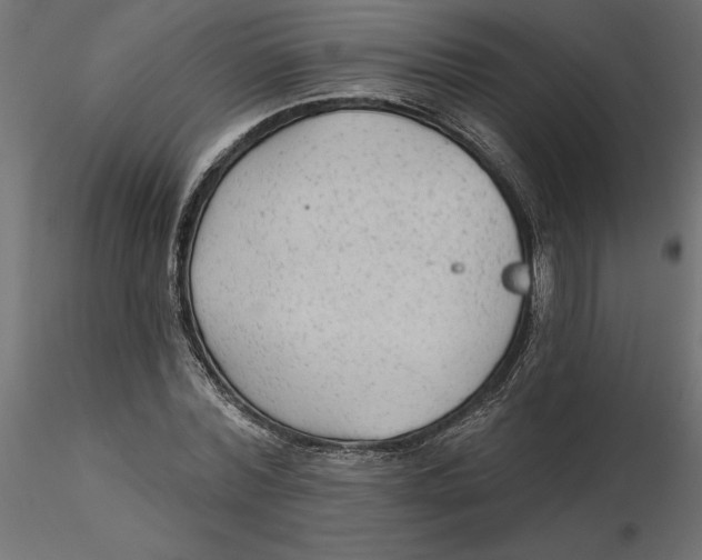 X0000116570780200912311952