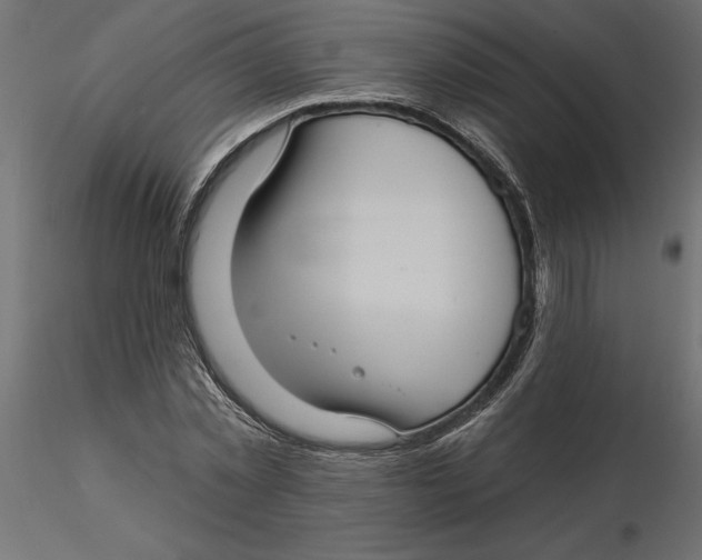 X0000116570781200912311952