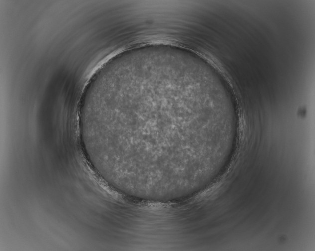 X0000116570782200912311952