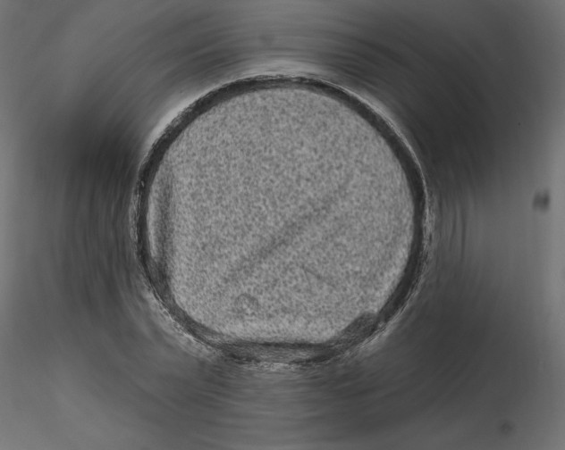 X0000116570783200912311952