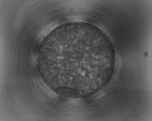 X0000116570785200912311952