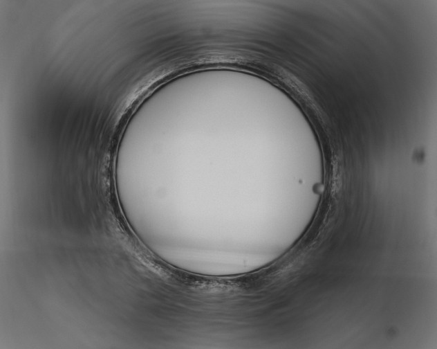 X0000116570786200912311952