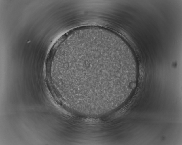 X0000116570788200912311952