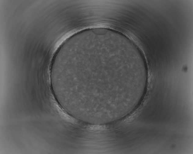 X0000116570789200912311952