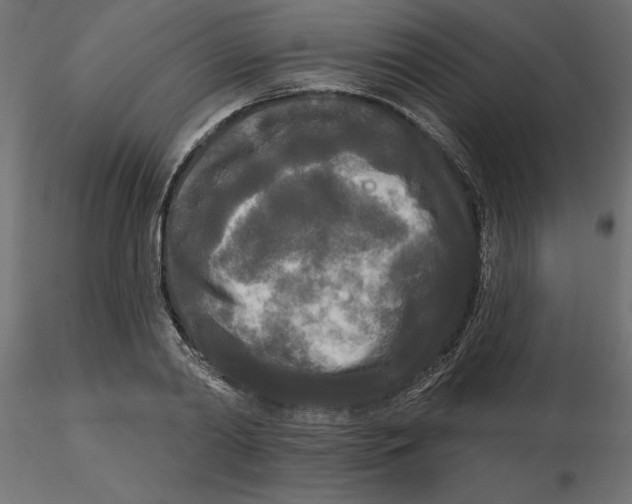 X0000116570790200912311952