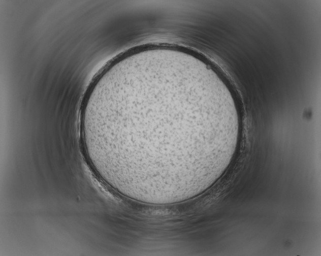 X0000116570791200912311952