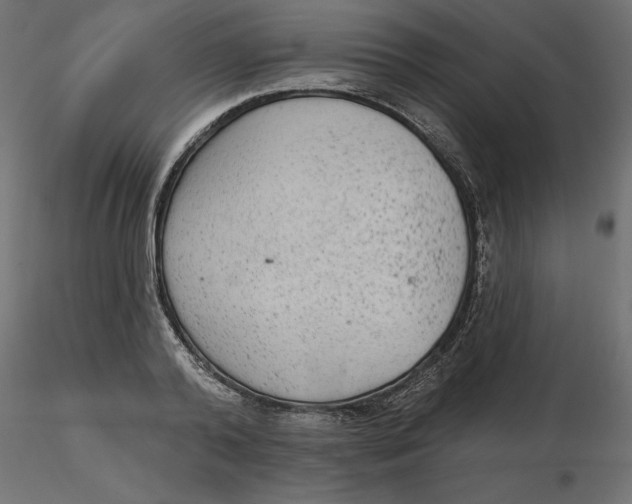 X0000116570792200912311952