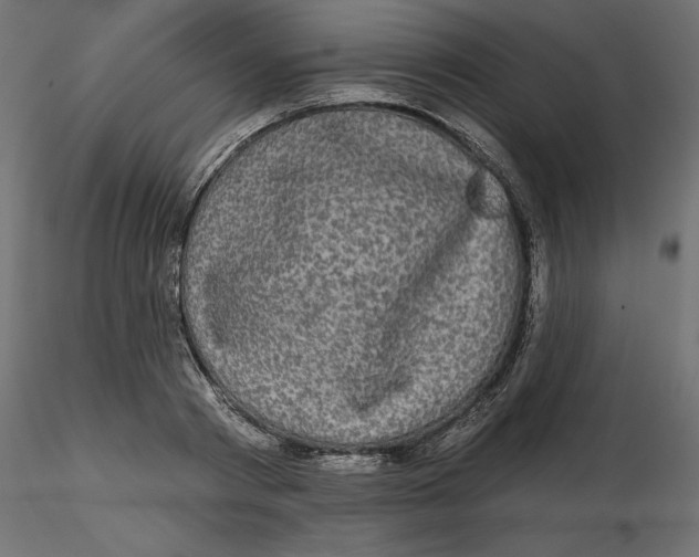 X0000116570793200912311952