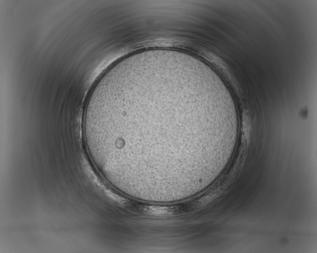 X0000116570794200912311952