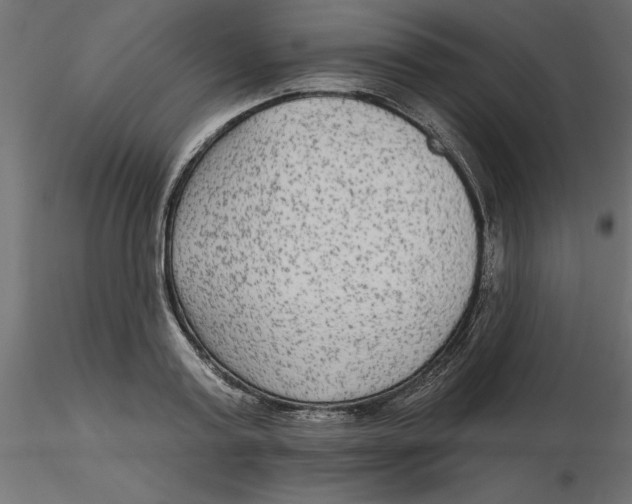 X0000116570795200912311952