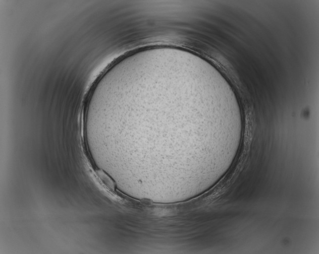 X0000116570796200912311952