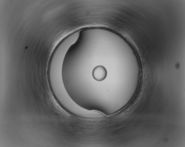 X0000116570797200912311952