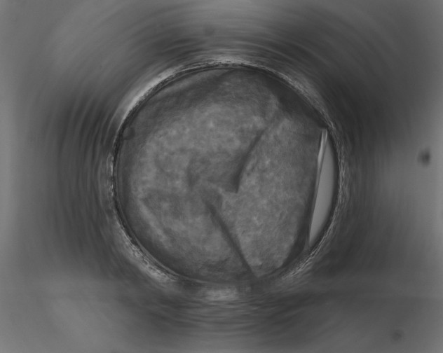 X0000116570798200912311952