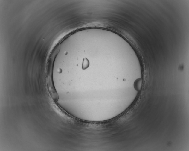 X0000116570800200912311952