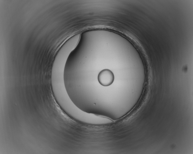 X0000116570801200912311952