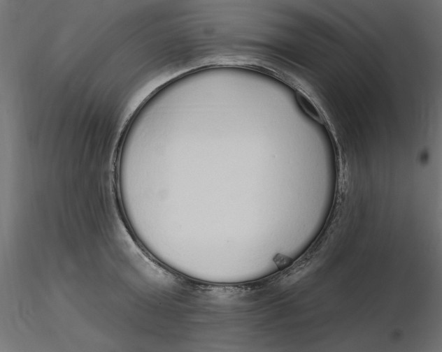 X0000116570803200912311952