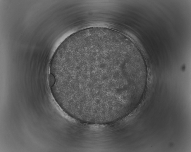 X0000116570804200912311952