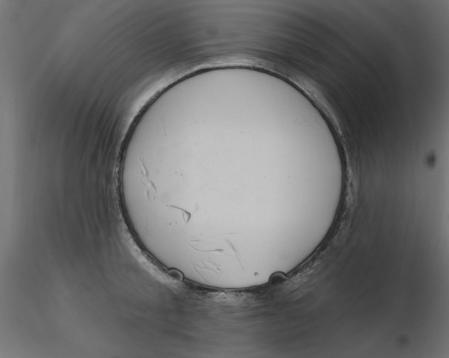 X0000116570805200912311952