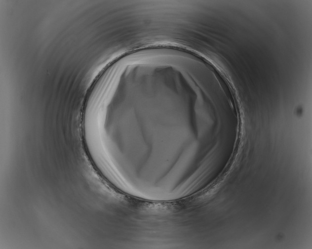 X0000116570806200912311952