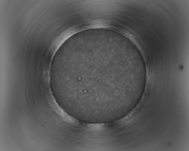 X0000116570810200912311952