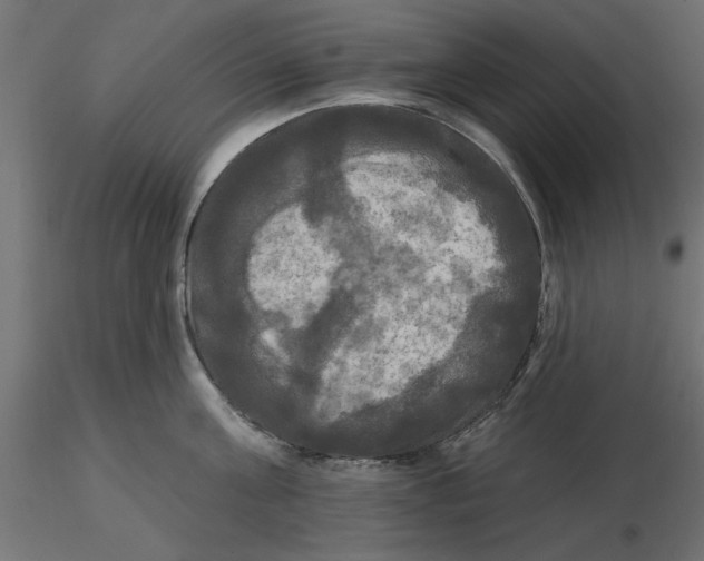 X0000116570811200912311952