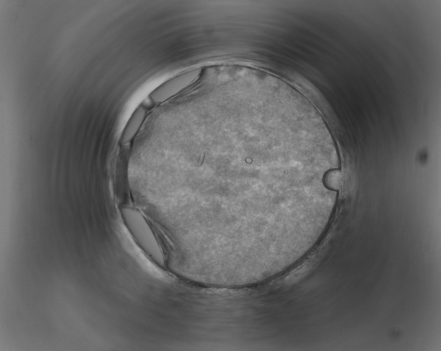 X0000116570812200912311952