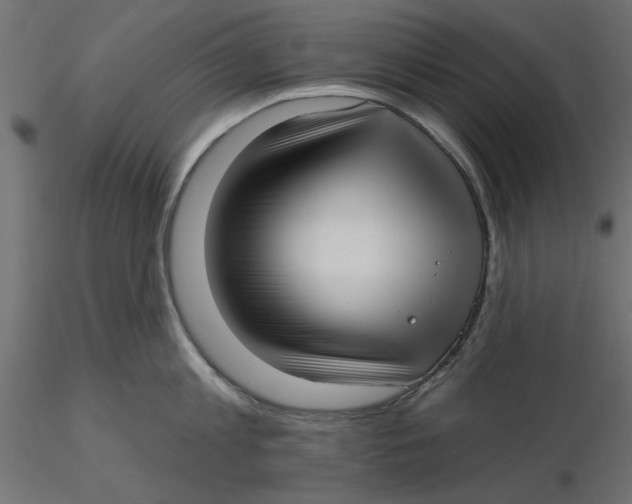 X0000116570813200912311952