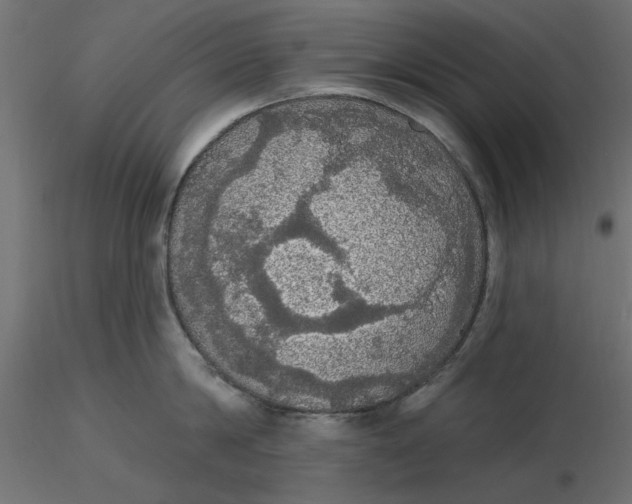 X0000116570814200912311952