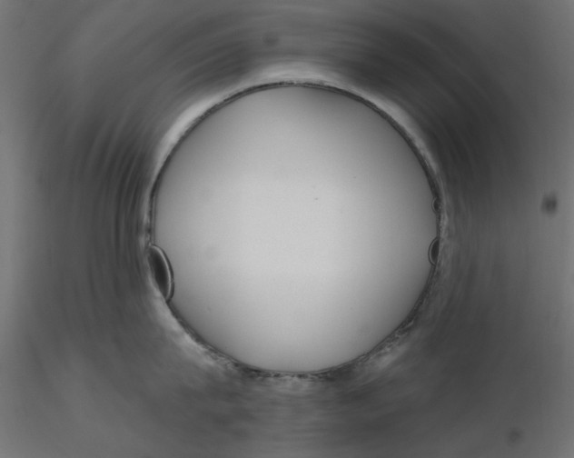 X0000116570815200912311952