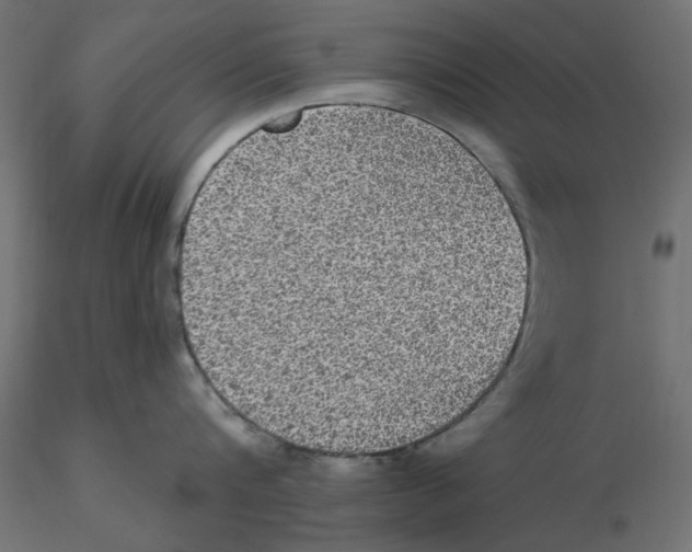 X0000116570816200912311952